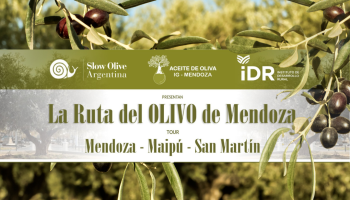 ruta olivo imagen nueva