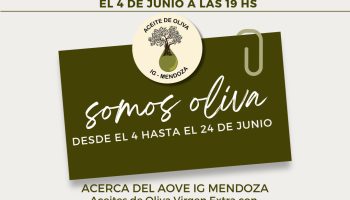 somos_oliva_las_bobedas